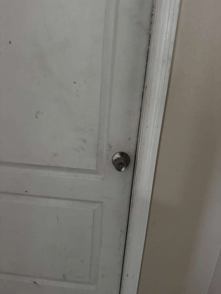 Key Extraction Tool in Ocala, FL — Locksmith Enforcement